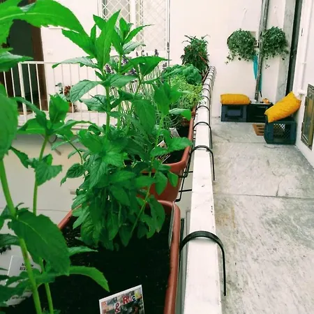 Ruck&maul ベッド・アンド・ブレックファスト *