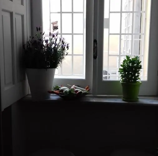 Ruck&maul B&B